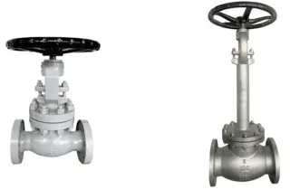 Globe Valve