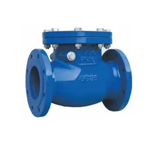 Selecting the Best Check Valve for Your Application