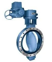 Analyzing Rust on the Sealing Surface of Nuclear-grade SS Globe Valves