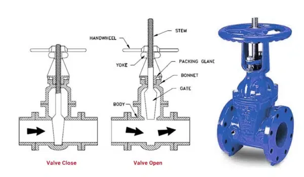 Rising Stem Gate Valve