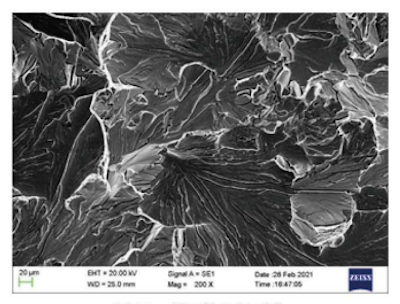 SEM morphology of the cross section