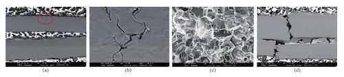 Characteristics of chloride-induced intergranular crack propagation at different stages