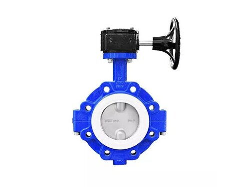Concentric Butterfly Valve