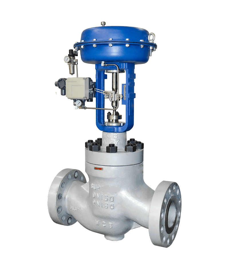Cage-guided Control Valve
