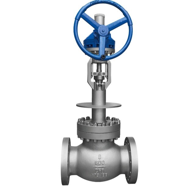 Cryogenic Globe Valve