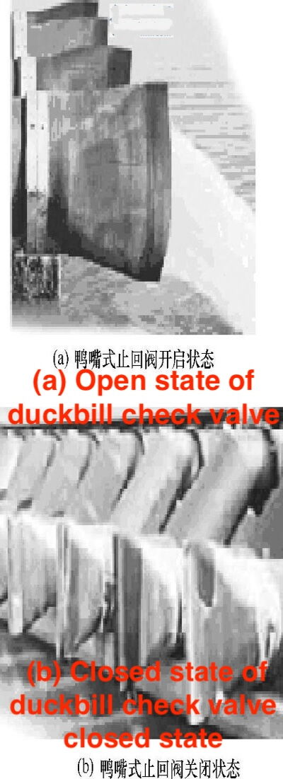 Duckbill Check Valve