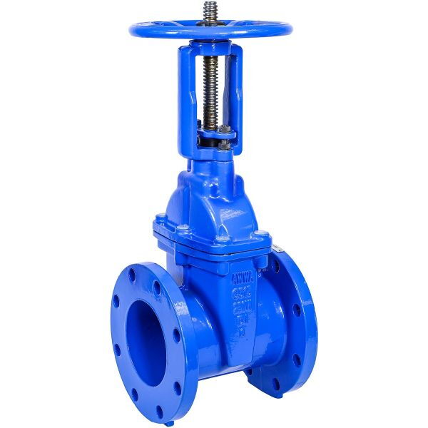 Ductile Iron Gate Valve