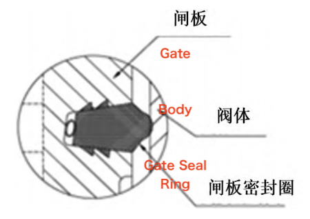 Enlarged view of the gate seal Enlarged view of the gate seal