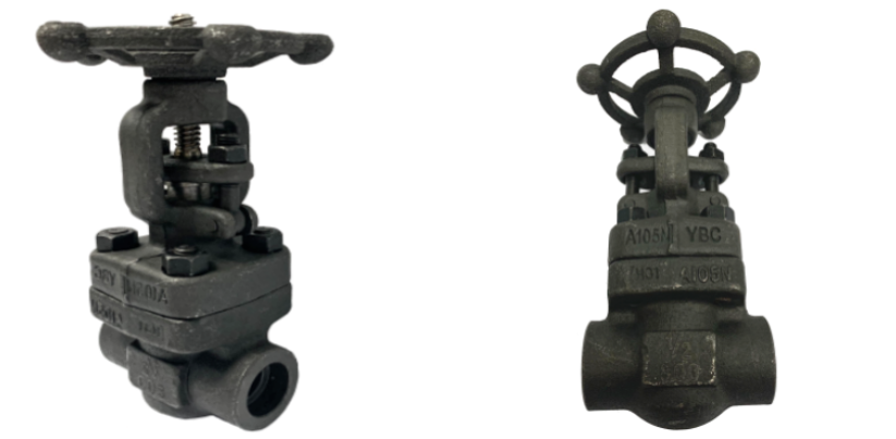 Forged Steel Gate Valves