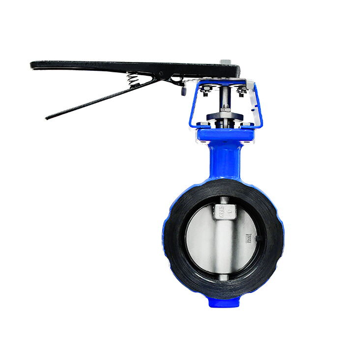 High-Performance Butterfly Valves