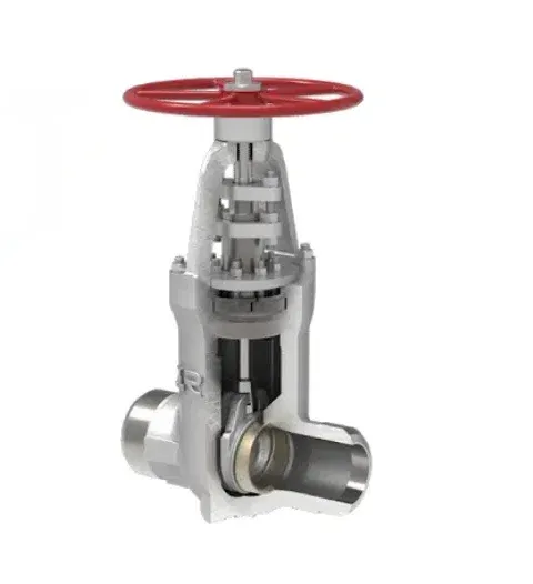 Parallel Slide Gate Valves