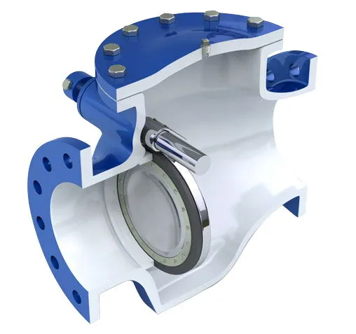 Swing Check Valve