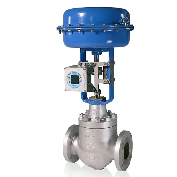 Cage Guided Globe Control Valve