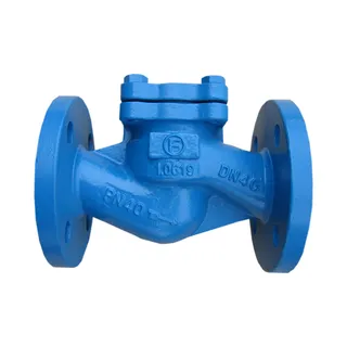 Understanding Globe Check Valves: Dual Functionality for Critical Flow Control