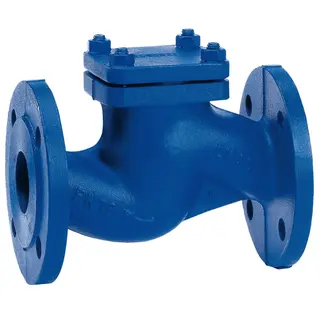What is a Lift Check Valve?
