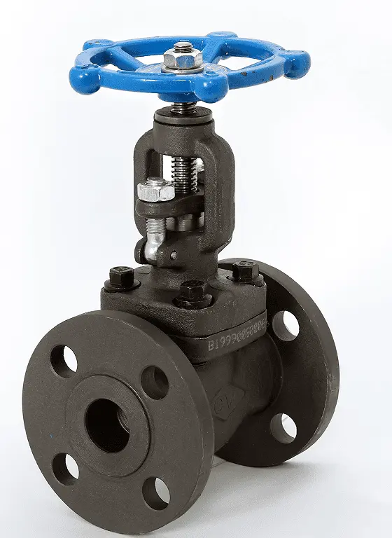 Forged Steel Globe Valve