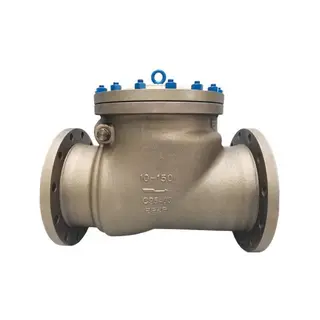 Comprehensive Guide to Aluminum Bronze Check Valves: Types, Applications, and Advantages