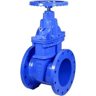 The Complete Guide to Ductile Iron Gate Valves