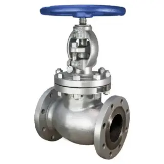 Stainless steel globe valve
