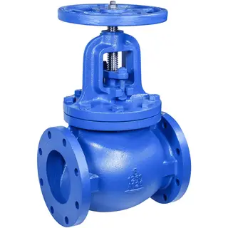 What is a Globe Valve Used For?