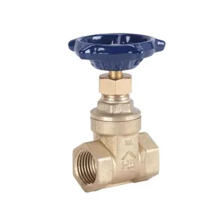 What Is a Brass Gate Valve Used For?