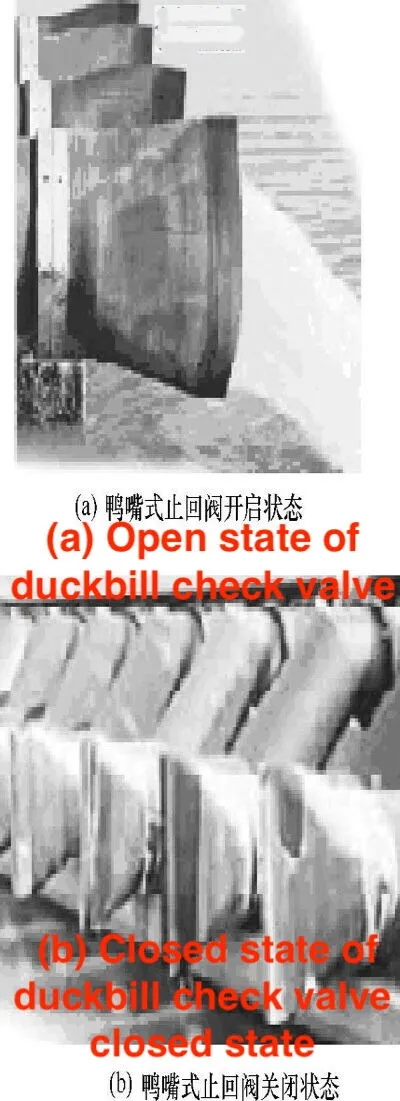 Duckbill Check Valve