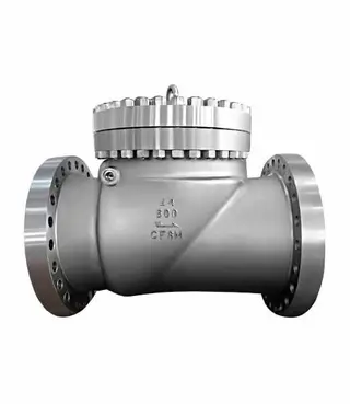 Ensuring Safety and Efficiency: The Role of Cryogenic Check Valves