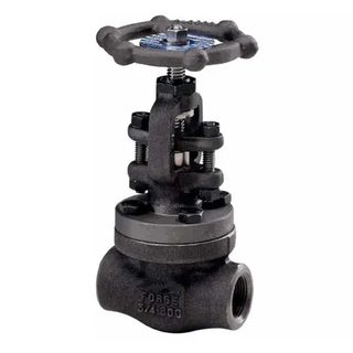 Comprehensive Guide to Forged Steel Globe Valves: Design, Selection, and Applications