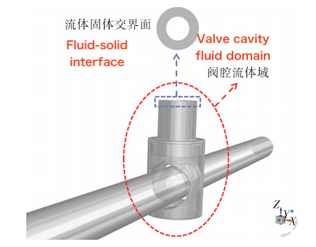 The full-size fluid domain and fluid-solid interface