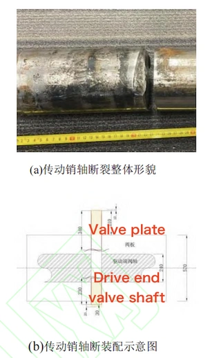 Overall morphology and schematic diagram of the fractured drive pin assembly