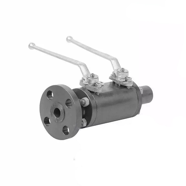 Double Block Bleed Ball Valve, API 608, 1 Inch, Class 300 LB