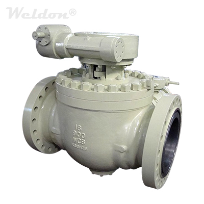 16 Inch Top Entry Ball Valve, ASTM A216 WCB, 900 LB, API 6D, RF