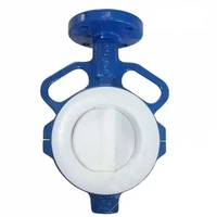 PTFE Lined Butterfly Valve, Cast Iron GGG40, 3 Inch, 150 LB