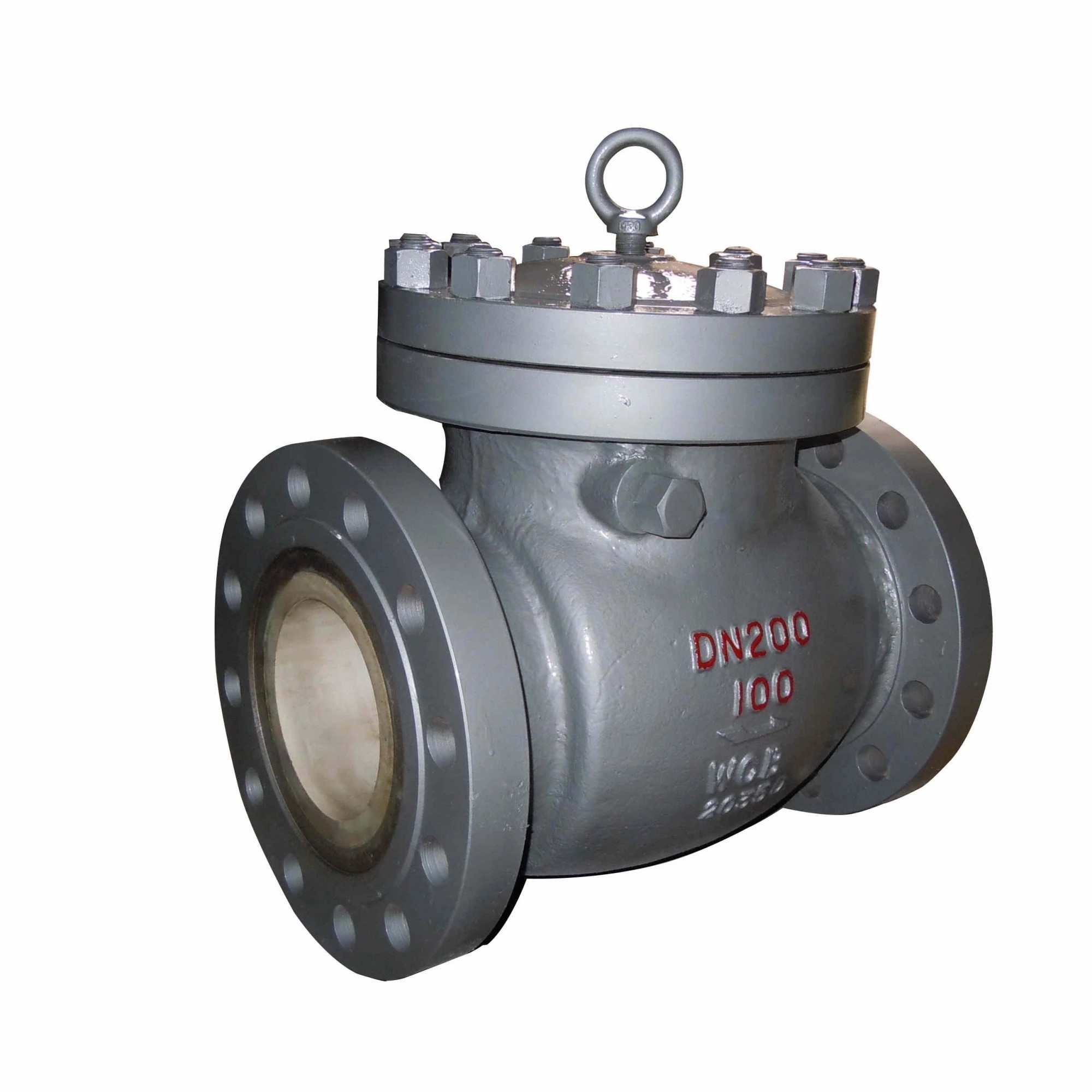 Residue Drainage Ceramic Lined Check Valve, WCB, 8 IN, 600 LB
