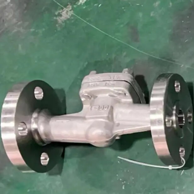 API 602 Lift Check Valve, ASTM A182 F316L, 1 Inch, 300 LB