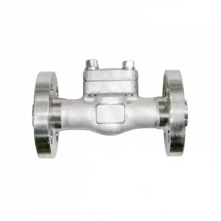 API 602 Swing Check Valve, ASTM A182 F316L, 1/2 Inch, 600 LB