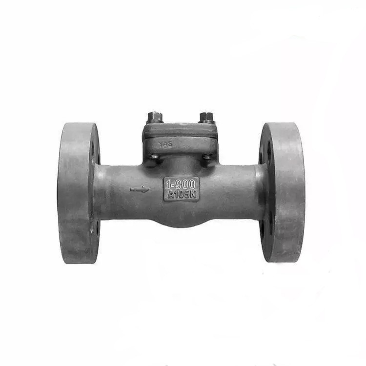 API 602 Vertical Swing Check Valve, ASTM A105N, 1 IN, 900 LB