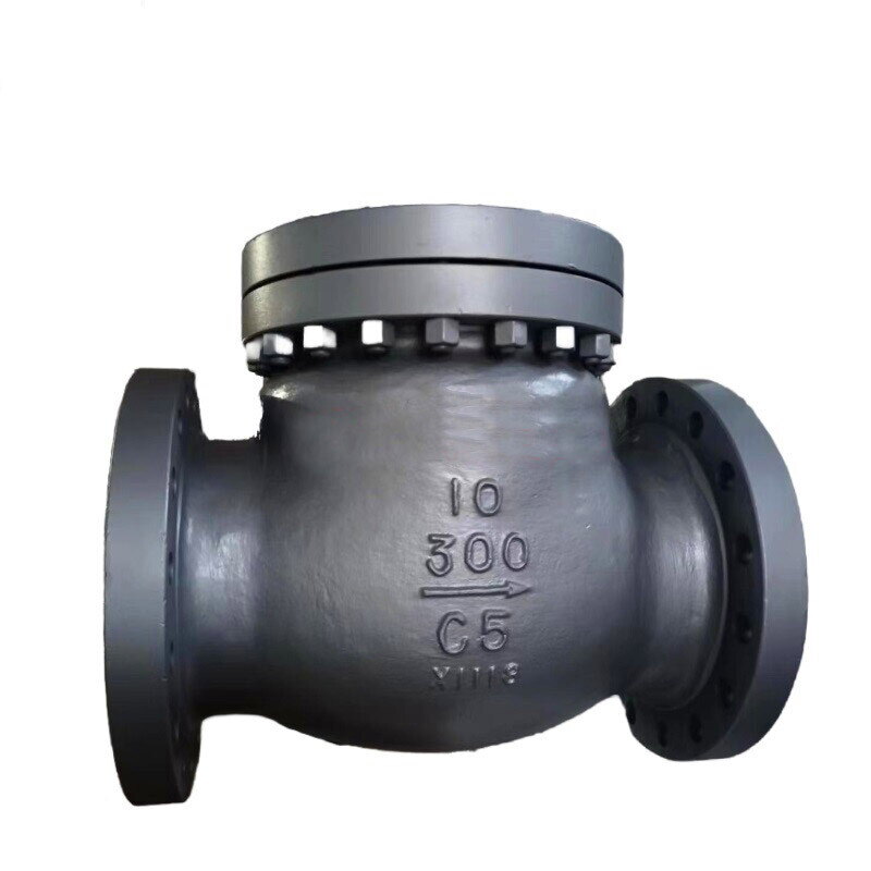 API 6D Check Valve, ASTM A995 4A, 6 Inch, Class 300 LB, RF - Weldon