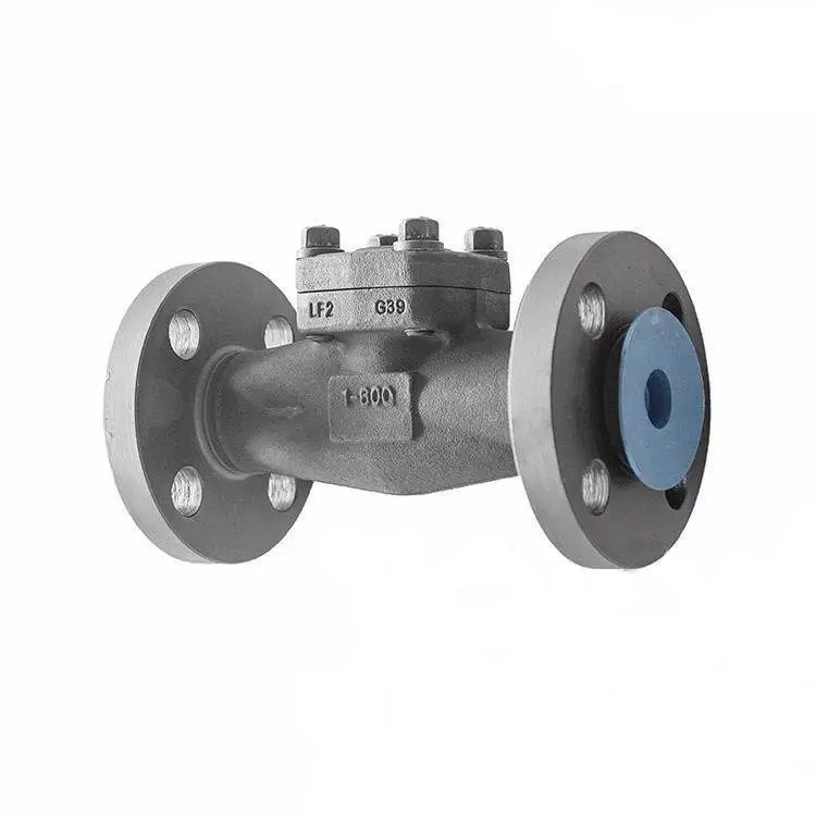 BS 5352 Swing Check Valve, ASTM A350 LF2, 1 Inch, 800 LB, RF