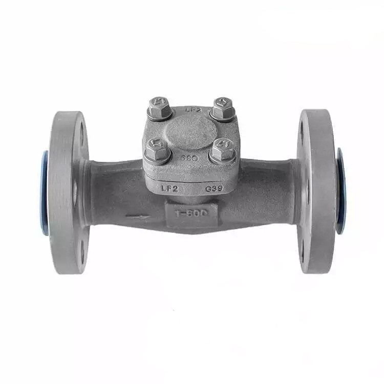 Cryogenic Swing Check Valve, ASTM A350 LF2, 1 Inch, 800 LB