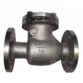 DIN 3840 Check Valve, ASTM A351 CF8, DN50, PN16, RF Flange