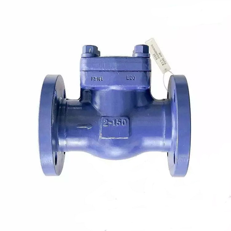Piston Check Valve, ASTM A182 F316L, API 602, 1 Inch, 150 LB
