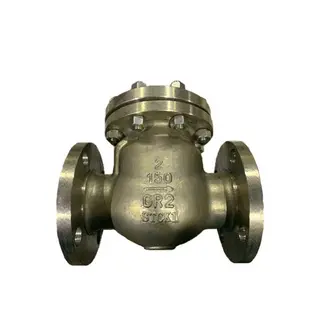 Titanium Alloy Swing Check Valve, API 6D, ASTM B367 C2, 2 IN