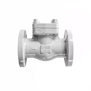 ASTM A105N Swing Check Valve, BS 5352, 2 Inch, 150 LB, RF