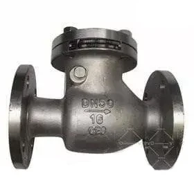 DIN 3840 Check Valve, ASTM A351 CF8, DN50, PN16, RF Flange