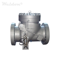 Swing Check Valve with Cylinder, A216 WCB, API 6D, 20 Inch, 900 LB