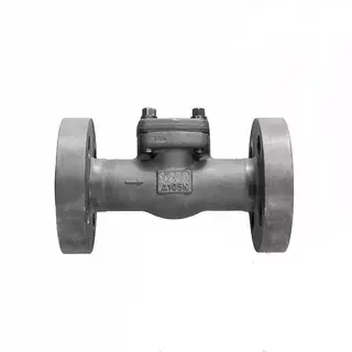 API 602 Vertical Swing Check Valve, ASTM A105N, 1 IN, 900 LB