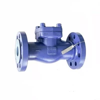 Bolted Bonnet Swing Check Valve, ASTM A182 F316, 2 IN, CL300