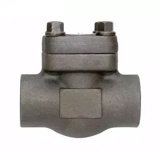 Swing Lift Check Valve, Alloy N08020, 1/2-2 Inch, 800-2500 LB