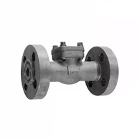 Bolted Bonnet Swing Check Valve, ASTM A105N, 1 Inch, 900 LB
